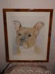 aquarel J. Van Roey "hond". aquarel J. Van Roey "hond"