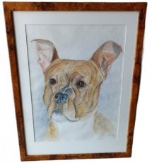 aquarel J. Van Roey "hond"